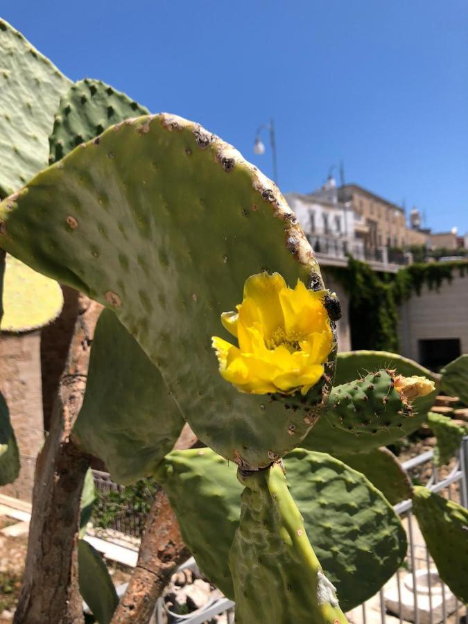 Lamanna Summer House Polignano a Mare Buitenkant foto