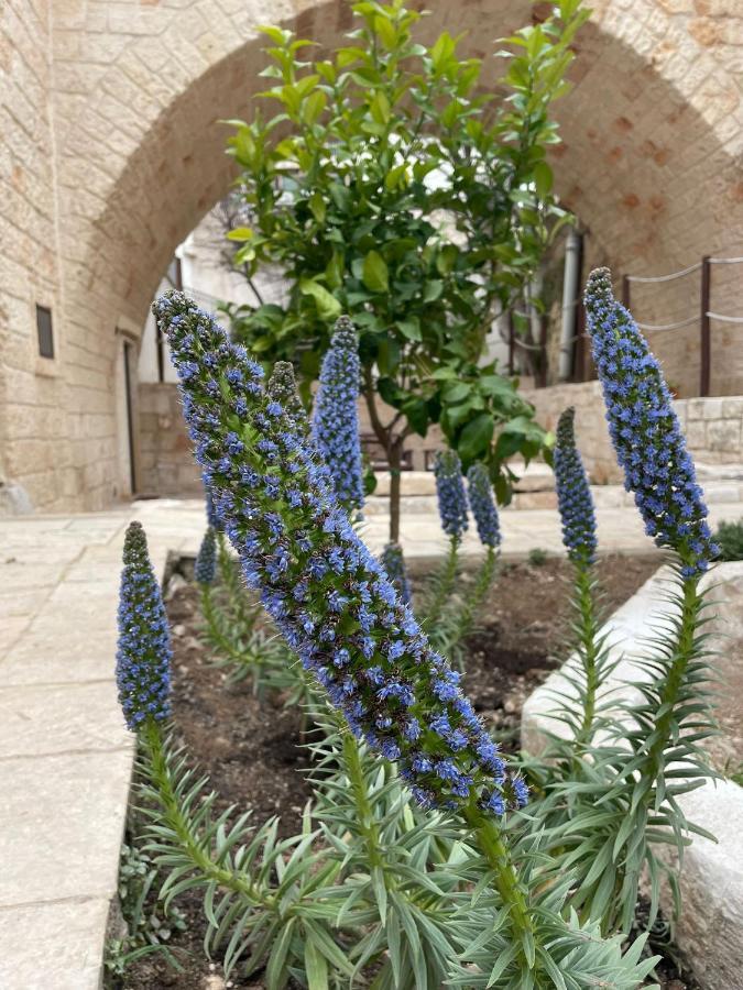 Lamanna Summer House Polignano a Mare Buitenkant foto